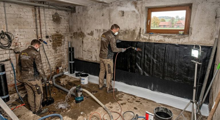 Kellersanierung Kreis Herzogtum Lauenburg: Der objektive Ratgeber. Harte Fakten zu Horizontalsperren, drückendem Grundwasser und Schimmelprävention.