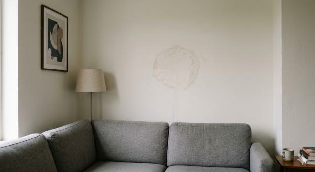 Braune Flecken an der Wand: Schleichenden Rohrbruch erkennen und orten